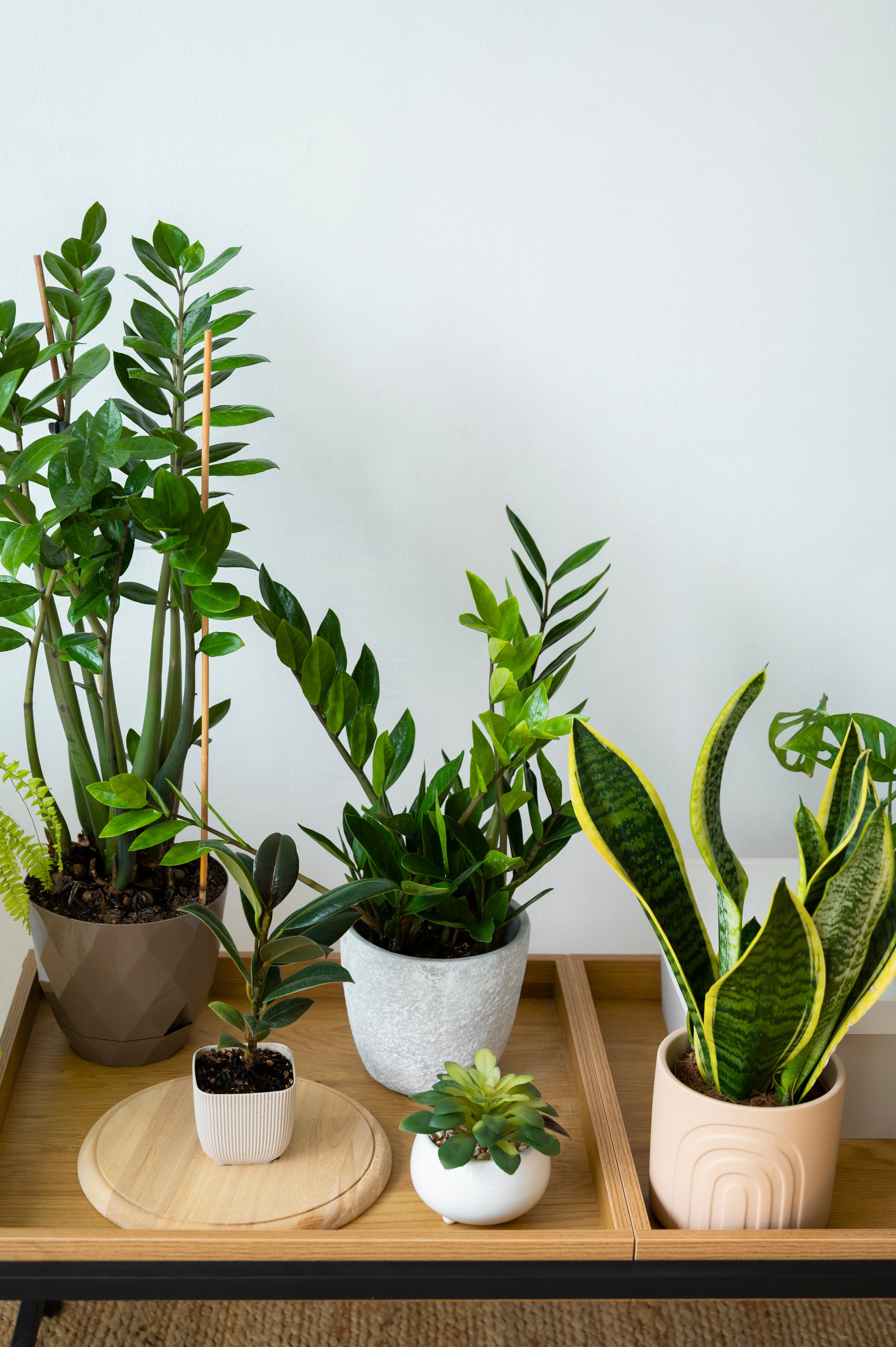 Lovely Pakketten (Plantenboxen)